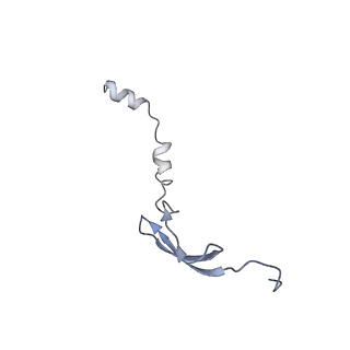 8829_5wfs_6_v2-2
70S ribosome-EF-Tu H84A complex with GTP and near-cognate tRNA (Complex C4)