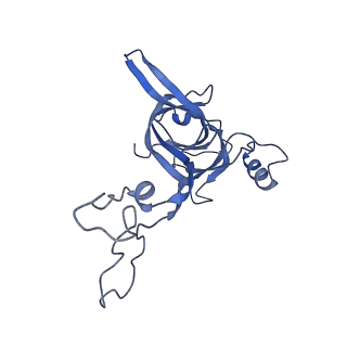 8829_5wfs_D_v2-2
70S ribosome-EF-Tu H84A complex with GTP and near-cognate tRNA (Complex C4)