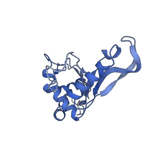8829_5wfs_F_v1-3
70S ribosome-EF-Tu H84A complex with GTP and near-cognate tRNA (Complex C4)