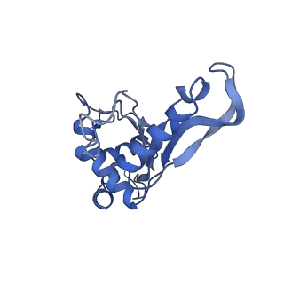 8829_5wfs_F_v2-2
70S ribosome-EF-Tu H84A complex with GTP and near-cognate tRNA (Complex C4)