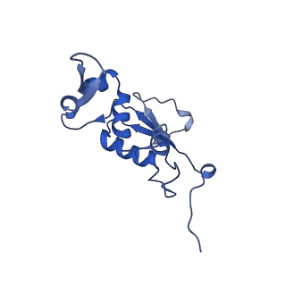 8829_5wfs_J_v1-3
70S ribosome-EF-Tu H84A complex with GTP and near-cognate tRNA (Complex C4)