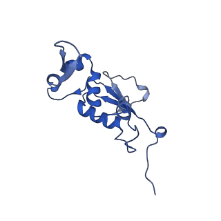 8829_5wfs_J_v2-2
70S ribosome-EF-Tu H84A complex with GTP and near-cognate tRNA (Complex C4)