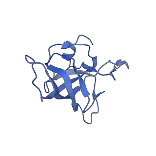 8829_5wfs_K_v1-3
70S ribosome-EF-Tu H84A complex with GTP and near-cognate tRNA (Complex C4)