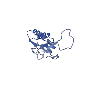 8829_5wfs_M_v2-2
70S ribosome-EF-Tu H84A complex with GTP and near-cognate tRNA (Complex C4)