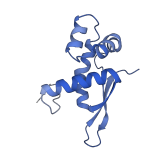 8829_5wfs_N_v1-3
70S ribosome-EF-Tu H84A complex with GTP and near-cognate tRNA (Complex C4)