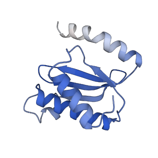 8829_5wfs_O_v1-3
70S ribosome-EF-Tu H84A complex with GTP and near-cognate tRNA (Complex C4)