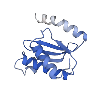 8829_5wfs_O_v2-2
70S ribosome-EF-Tu H84A complex with GTP and near-cognate tRNA (Complex C4)