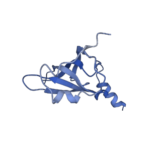 8829_5wfs_P_v1-3
70S ribosome-EF-Tu H84A complex with GTP and near-cognate tRNA (Complex C4)