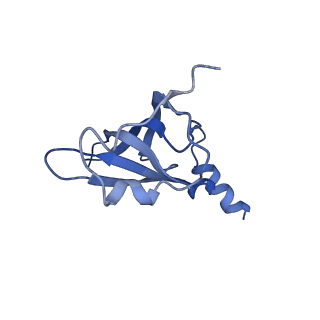 8829_5wfs_P_v2-2
70S ribosome-EF-Tu H84A complex with GTP and near-cognate tRNA (Complex C4)