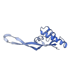 8829_5wfs_S_v1-3
70S ribosome-EF-Tu H84A complex with GTP and near-cognate tRNA (Complex C4)