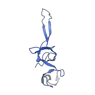 8829_5wfs_U_v2-2
70S ribosome-EF-Tu H84A complex with GTP and near-cognate tRNA (Complex C4)