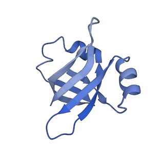 8829_5wfs_V_v1-3
70S ribosome-EF-Tu H84A complex with GTP and near-cognate tRNA (Complex C4)