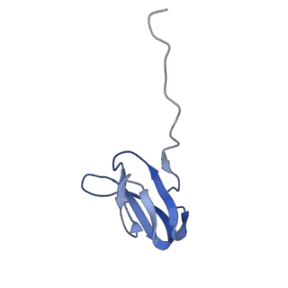 8829_5wfs_W_v1-3
70S ribosome-EF-Tu H84A complex with GTP and near-cognate tRNA (Complex C4)