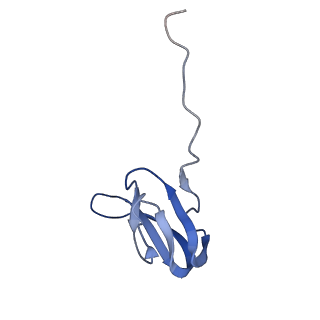 8829_5wfs_W_v2-2
70S ribosome-EF-Tu H84A complex with GTP and near-cognate tRNA (Complex C4)