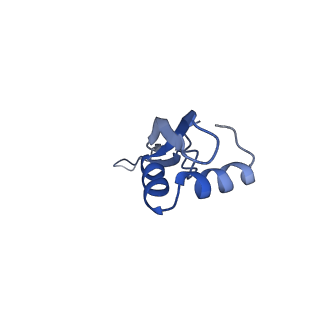 8829_5wfs_X_v1-3
70S ribosome-EF-Tu H84A complex with GTP and near-cognate tRNA (Complex C4)