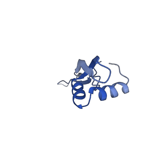 8829_5wfs_X_v2-2
70S ribosome-EF-Tu H84A complex with GTP and near-cognate tRNA (Complex C4)