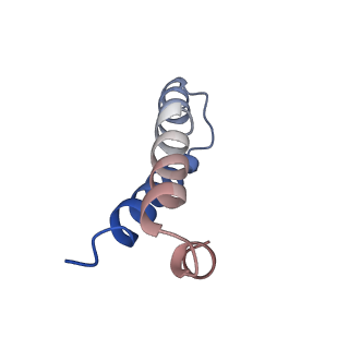 8829_5wfs_Y_v2-1
70S ribosome-EF-Tu H84A complex with GTP and near-cognate tRNA (Complex C4)