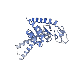 8829_5wfs_b_v1-3
70S ribosome-EF-Tu H84A complex with GTP and near-cognate tRNA (Complex C4)