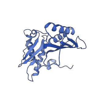 8829_5wfs_c_v1-3
70S ribosome-EF-Tu H84A complex with GTP and near-cognate tRNA (Complex C4)