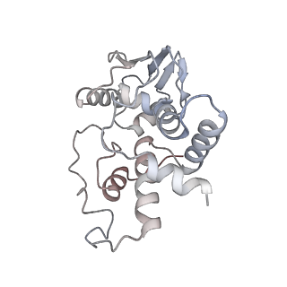 8829_5wfs_d_v1-3
70S ribosome-EF-Tu H84A complex with GTP and near-cognate tRNA (Complex C4)