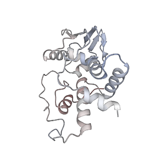 8829_5wfs_d_v2-2
70S ribosome-EF-Tu H84A complex with GTP and near-cognate tRNA (Complex C4)