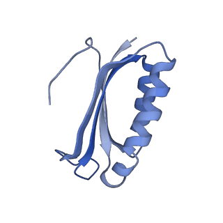 8829_5wfs_f_v1-3
70S ribosome-EF-Tu H84A complex with GTP and near-cognate tRNA (Complex C4)