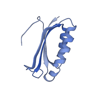 8829_5wfs_f_v2-2
70S ribosome-EF-Tu H84A complex with GTP and near-cognate tRNA (Complex C4)