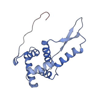 8829_5wfs_g_v1-3
70S ribosome-EF-Tu H84A complex with GTP and near-cognate tRNA (Complex C4)