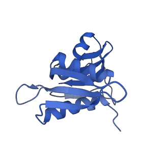 8829_5wfs_h_v1-3
70S ribosome-EF-Tu H84A complex with GTP and near-cognate tRNA (Complex C4)