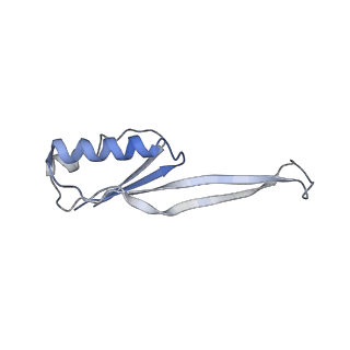 8829_5wfs_j_v2-2
70S ribosome-EF-Tu H84A complex with GTP and near-cognate tRNA (Complex C4)