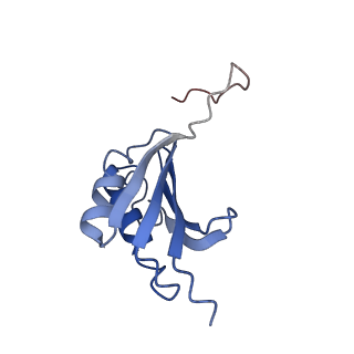 8829_5wfs_k_v1-3
70S ribosome-EF-Tu H84A complex with GTP and near-cognate tRNA (Complex C4)