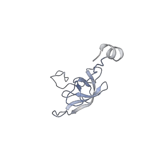 8829_5wfs_l_v1-3
70S ribosome-EF-Tu H84A complex with GTP and near-cognate tRNA (Complex C4)