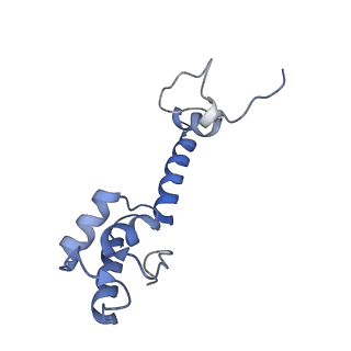 8829_5wfs_m_v2-2
70S ribosome-EF-Tu H84A complex with GTP and near-cognate tRNA (Complex C4)