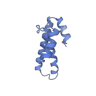 8829_5wfs_o_v1-3
70S ribosome-EF-Tu H84A complex with GTP and near-cognate tRNA (Complex C4)