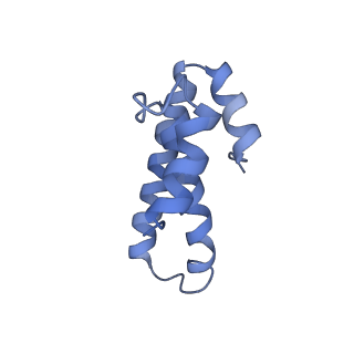 8829_5wfs_o_v2-2
70S ribosome-EF-Tu H84A complex with GTP and near-cognate tRNA (Complex C4)