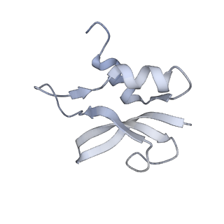 8829_5wfs_p_v2-1
70S ribosome-EF-Tu H84A complex with GTP and near-cognate tRNA (Complex C4)