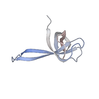 8829_5wfs_q_v1-3
70S ribosome-EF-Tu H84A complex with GTP and near-cognate tRNA (Complex C4)