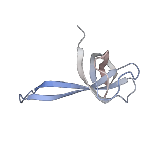 8829_5wfs_q_v2-1
70S ribosome-EF-Tu H84A complex with GTP and near-cognate tRNA (Complex C4)
