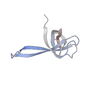 8829_5wfs_q_v2-2
70S ribosome-EF-Tu H84A complex with GTP and near-cognate tRNA (Complex C4)