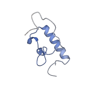 8829_5wfs_r_v1-3
70S ribosome-EF-Tu H84A complex with GTP and near-cognate tRNA (Complex C4)