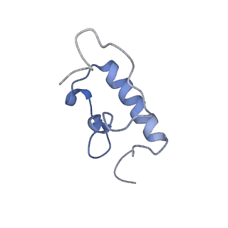 8829_5wfs_r_v2-1
70S ribosome-EF-Tu H84A complex with GTP and near-cognate tRNA (Complex C4)