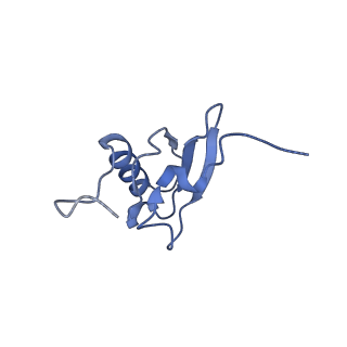 8829_5wfs_s_v1-3
70S ribosome-EF-Tu H84A complex with GTP and near-cognate tRNA (Complex C4)