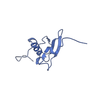8829_5wfs_s_v2-1
70S ribosome-EF-Tu H84A complex with GTP and near-cognate tRNA (Complex C4)
