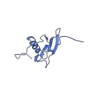 8829_5wfs_s_v2-2
70S ribosome-EF-Tu H84A complex with GTP and near-cognate tRNA (Complex C4)