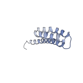 8829_5wfs_t_v1-3
70S ribosome-EF-Tu H84A complex with GTP and near-cognate tRNA (Complex C4)