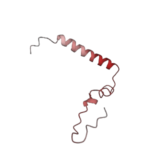 8829_5wfs_u_v1-3
70S ribosome-EF-Tu H84A complex with GTP and near-cognate tRNA (Complex C4)