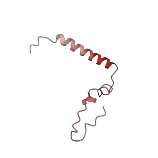 8829_5wfs_u_v2-2
70S ribosome-EF-Tu H84A complex with GTP and near-cognate tRNA (Complex C4)