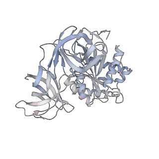 8829_5wfs_z_v2-1
70S ribosome-EF-Tu H84A complex with GTP and near-cognate tRNA (Complex C4)