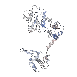 21662_6wgc_9_v1-4
Atomic model of semi-attached mutant OCCM-DNA complex (ORC-Cdc6-Cdt1-Mcm2-7 with Mcm6 WHD truncation)