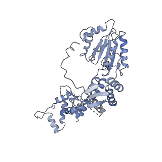 21662_6wgc_A_v1-4
Atomic model of semi-attached mutant OCCM-DNA complex (ORC-Cdc6-Cdt1-Mcm2-7 with Mcm6 WHD truncation)